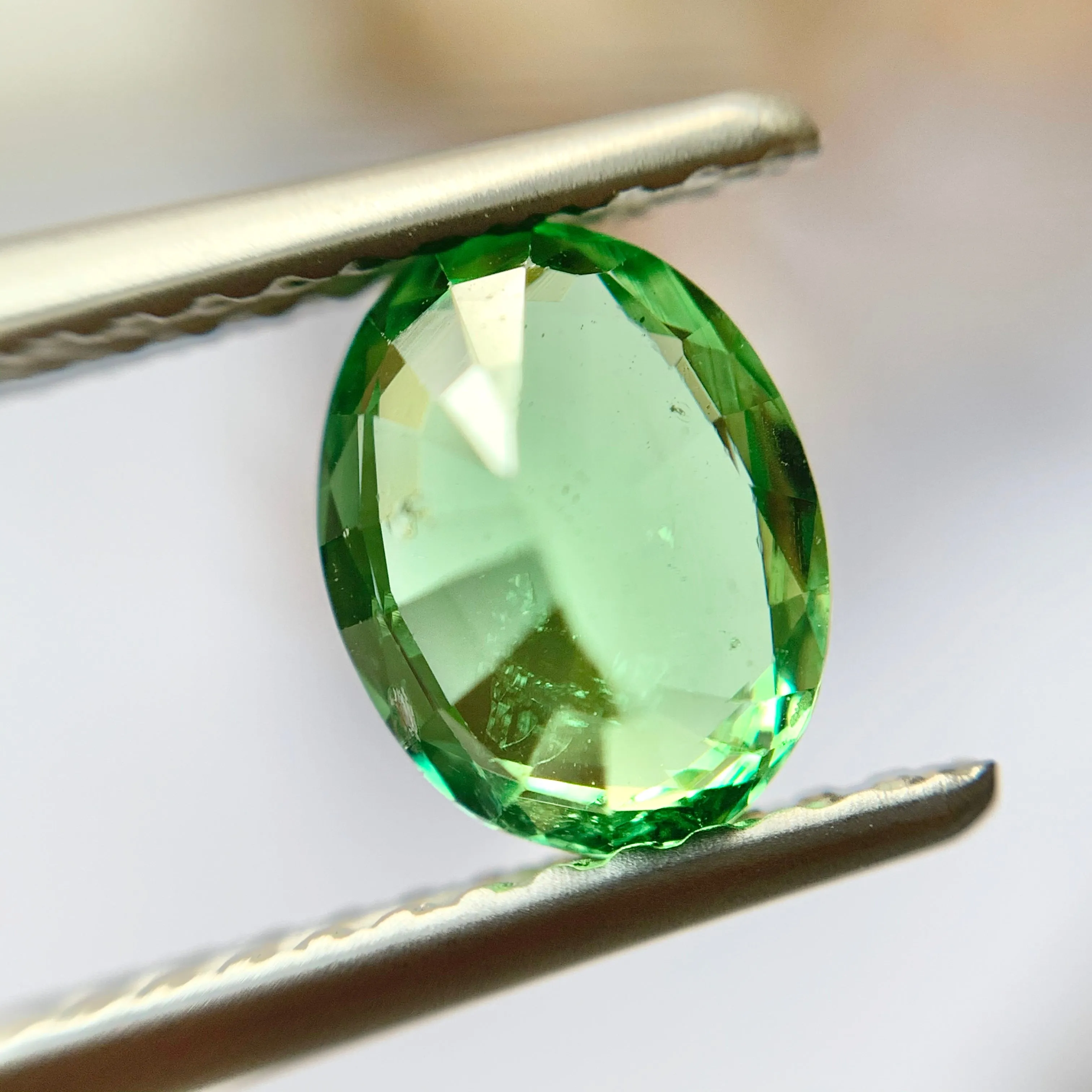 1.05ct Oval Natural Tsavorite Garnet No.12023