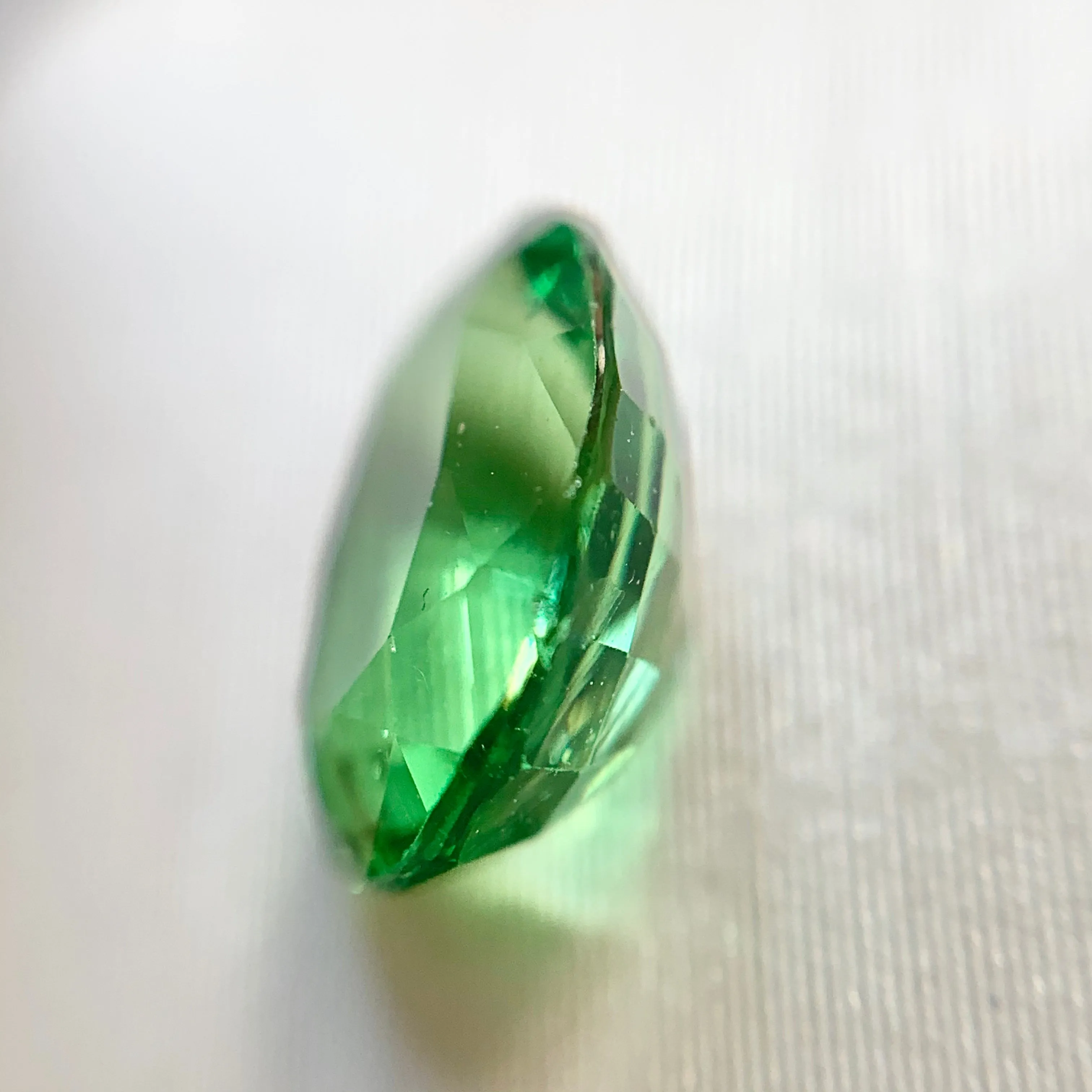 1.05ct Oval Natural Tsavorite Garnet No.12023