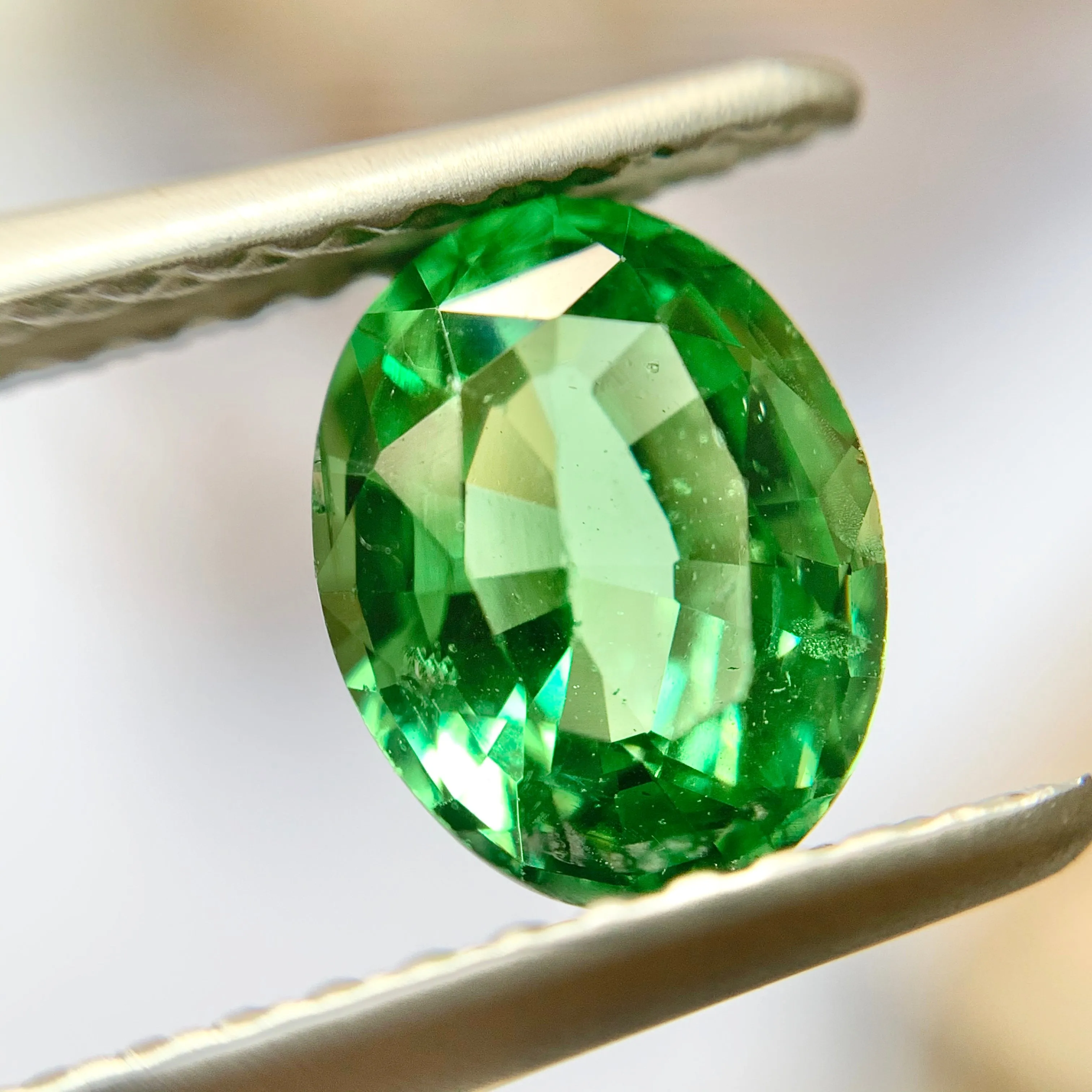 1.05ct Oval Natural Tsavorite Garnet No.12023