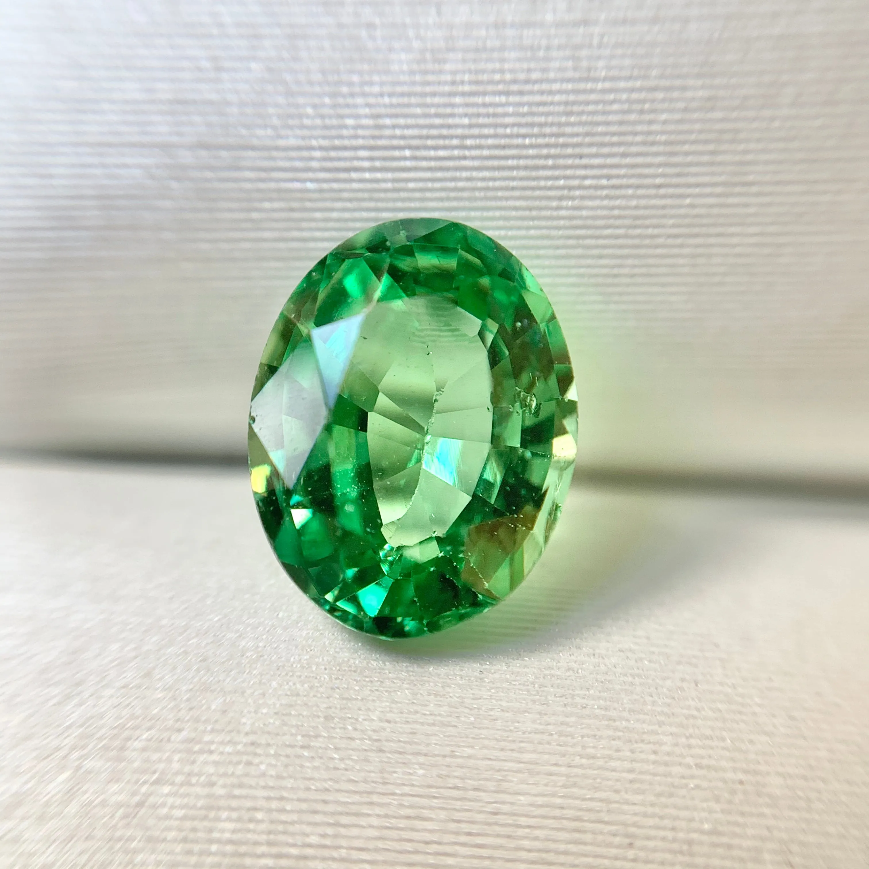 1.05ct Oval Natural Tsavorite Garnet No.12023