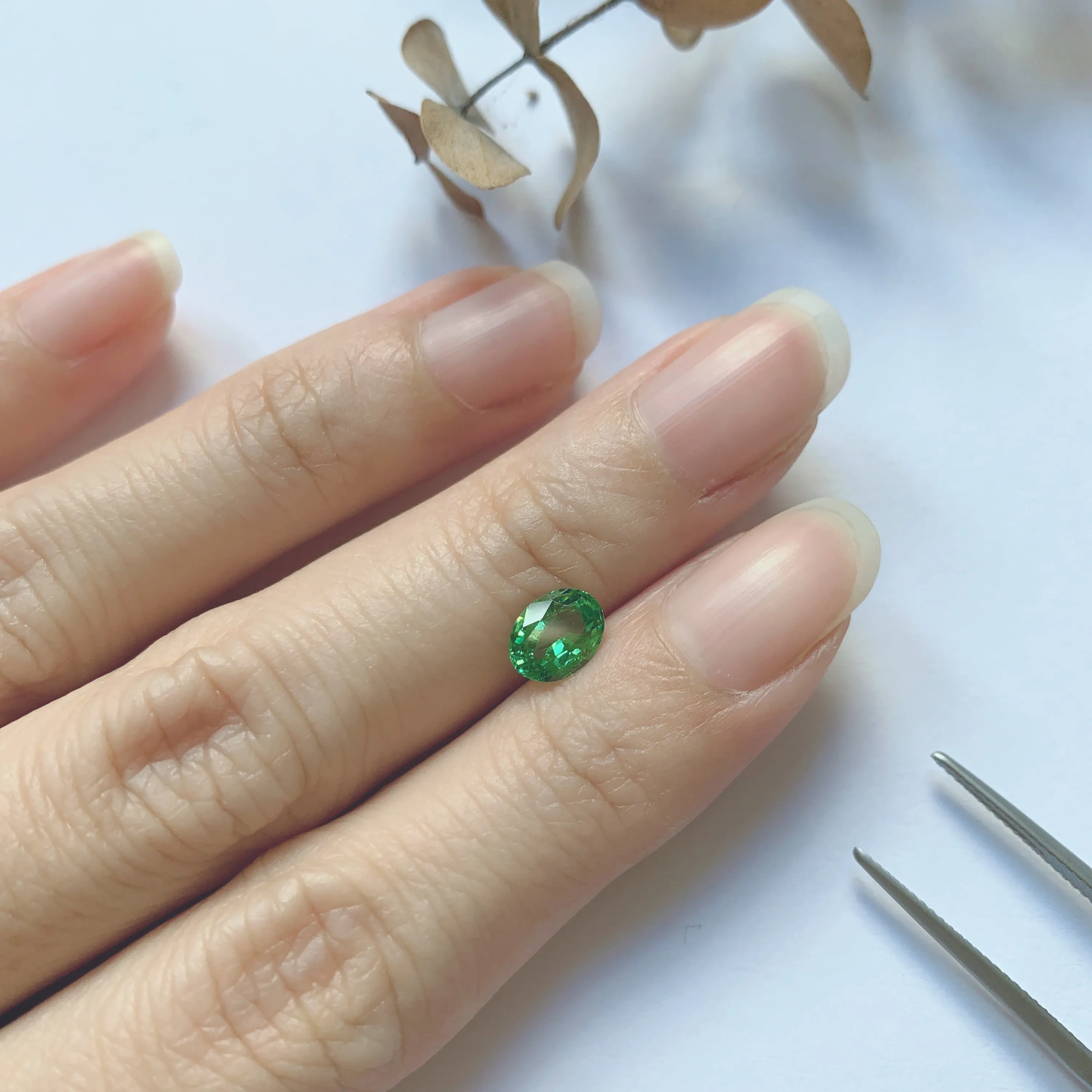1.05ct Oval Natural Tsavorite Garnet No.12023