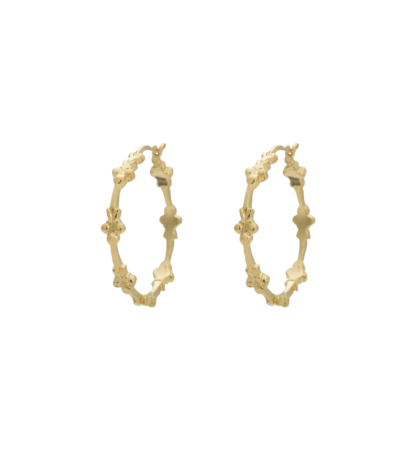 Eden Hoop Earring