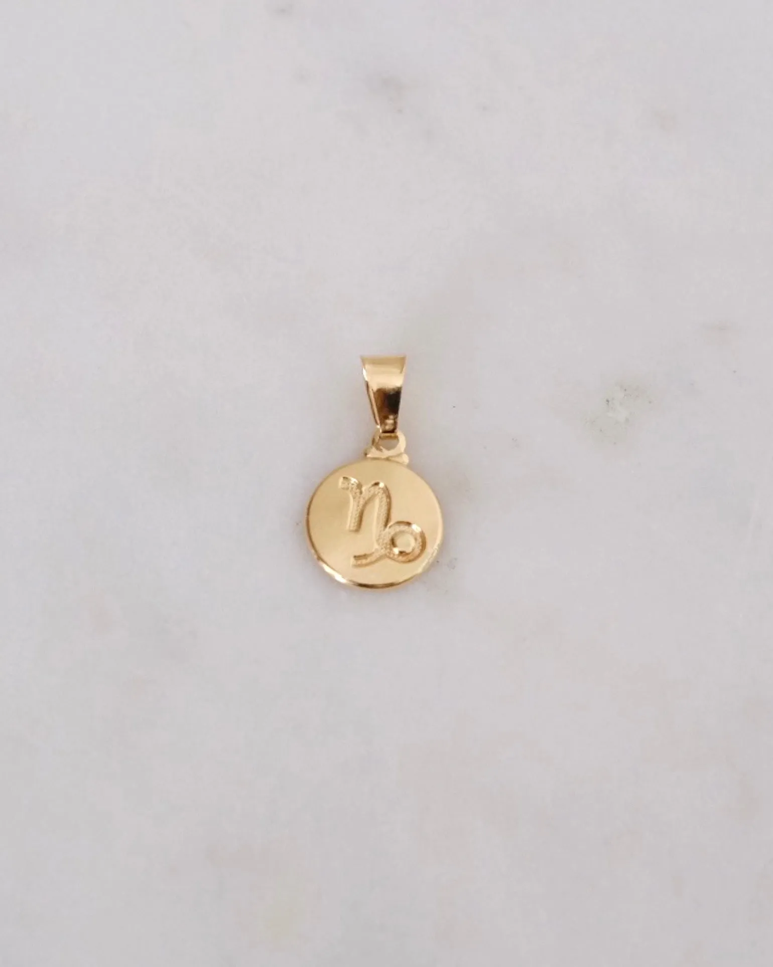 Zodiac Charm