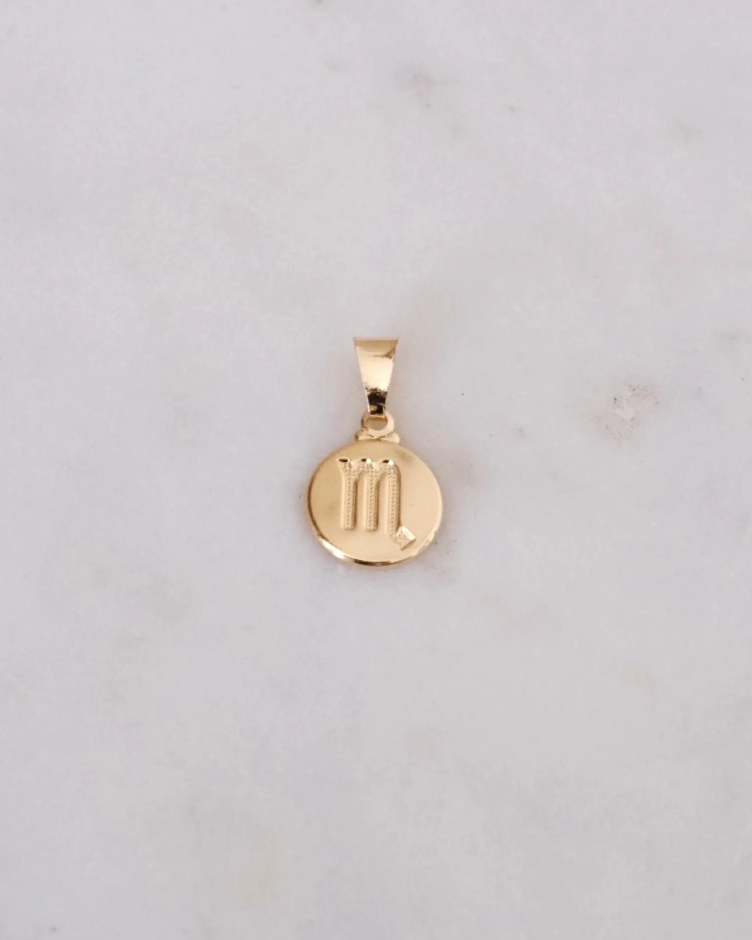 Zodiac Charm