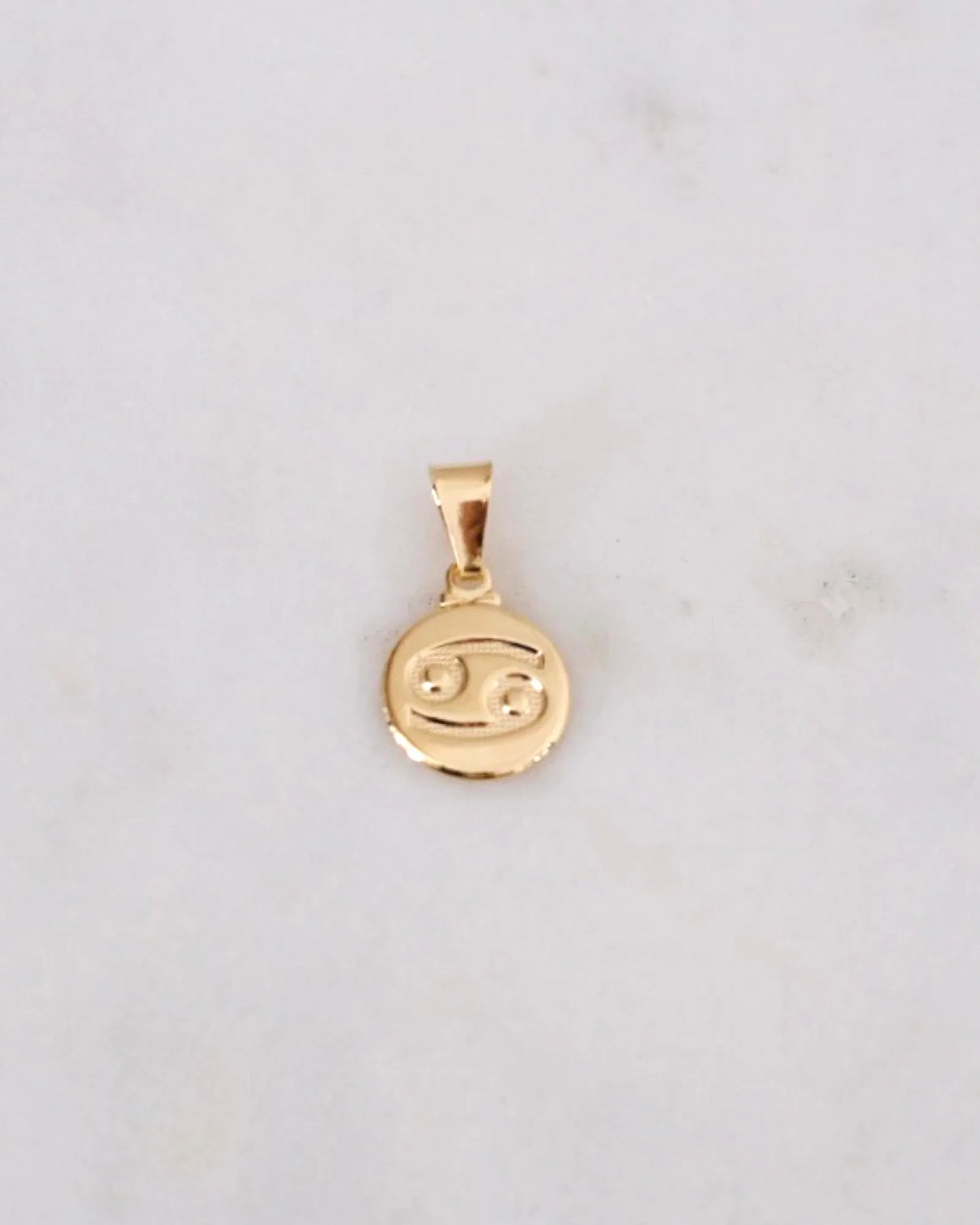 Zodiac Charm